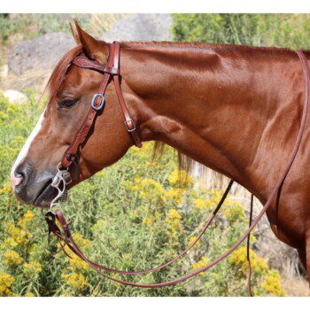 Josh Lyons Performance Bridle Set - Level 2 Bit