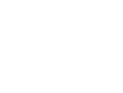 equine programs