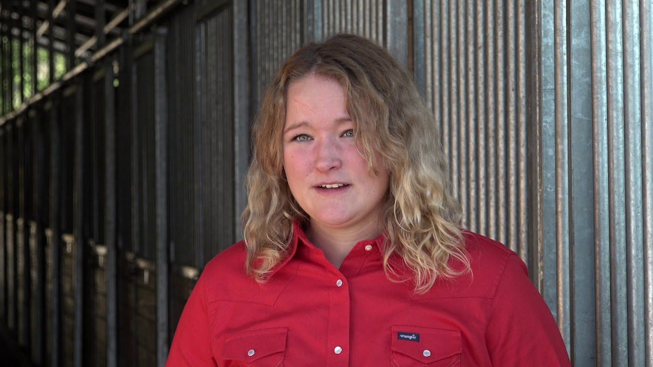 John & Josh Lyons Certified Horse Training Program Testimonial -Chloe Grogg