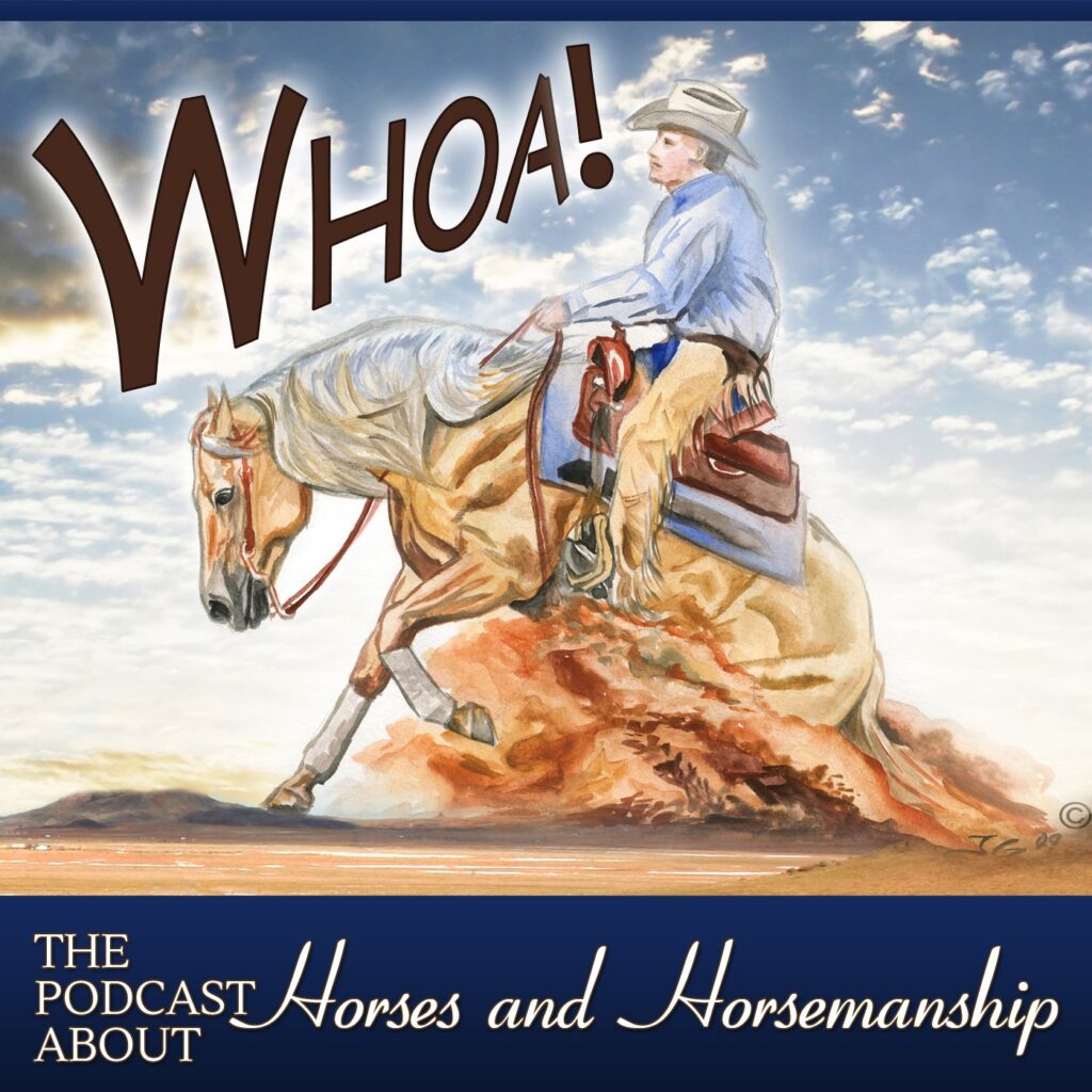 The Whoa Podcast Interviews Josh