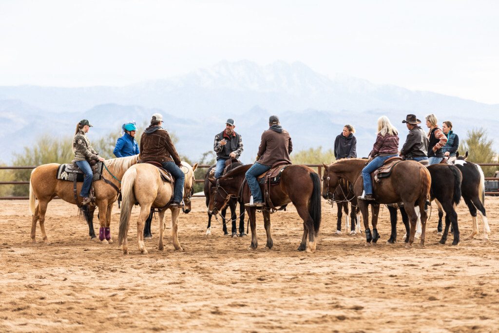 horse training school