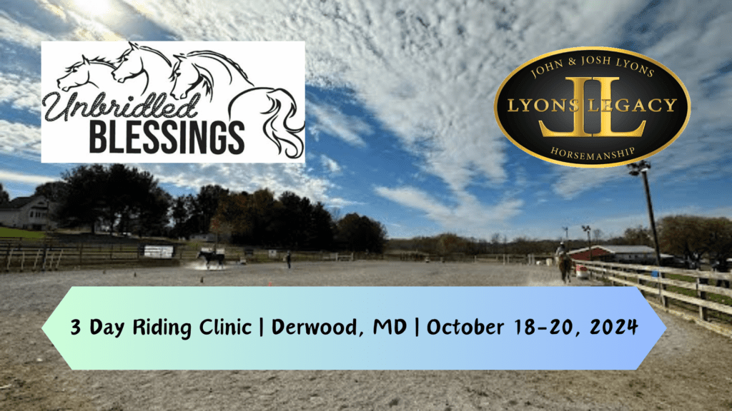 Derwood MD Horse Training Clinic